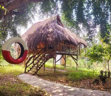 Nam Cat Tien Cabin | Nhà nghỉ độc lạ bờ sông Nam Cát Tiên