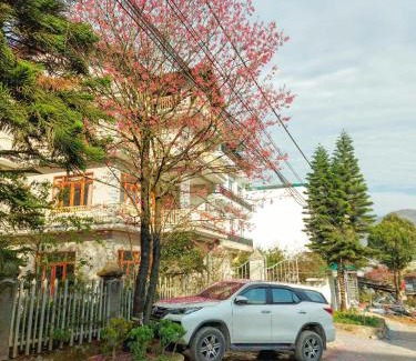 Sa Pa Bed & Breakfast | Nhà nghỉ Sơn Tùng