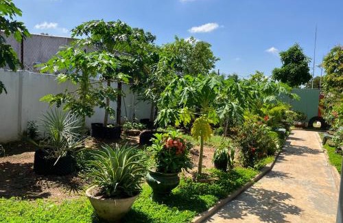 Duc Linh House | Nhà Nghỉ Sakura Homestay