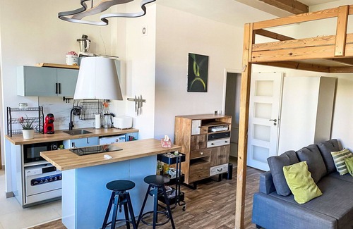 Holesovice Apartment | Nice apartment for 2 guests with WIFI and pets allowed