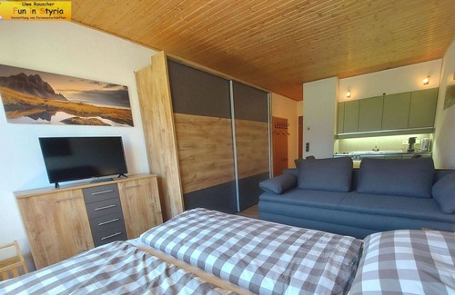 Tauplitz Apartment | Nice apartment for 3 guests with WIFI, pool, TV, balcony, pets allowed and parking
