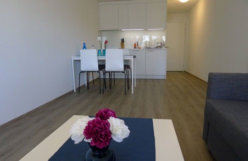 Lucerne Apartment | Nice apartment for 4 guests with WIFI, TV and balcony