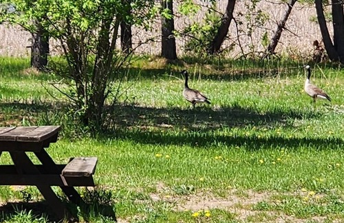 Nevis House | Nice Camper With Slide out