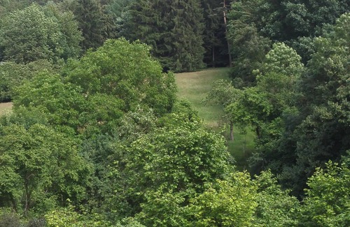 Waldkappel Apartment | Nice holiday apartment on a farm in Waldhessen