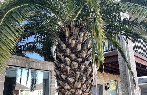 Chelsea Harbour House | Nice luxurious queen bedroom stay at blue water lake 🏡 in center of Sugar land.