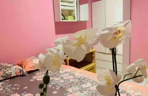 Rosewater House | Nice room less Pay near Port Adelaide