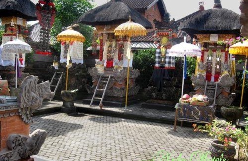 Ubud City-Centre Hotel | Nick's Homestay