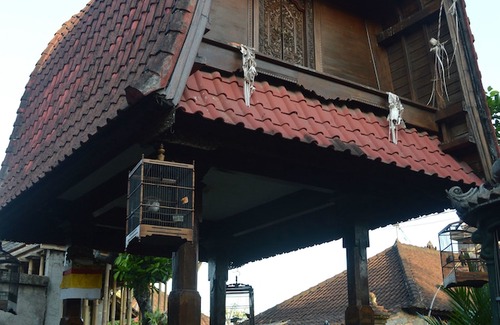 Ubud City-Centre Hotel | Nick's Homestay