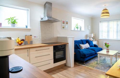 New Forest District House | No.51