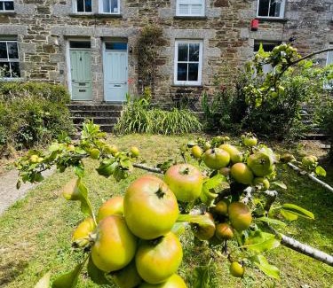 Gweek House | No3 Gweek