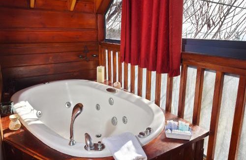 Amirim Ski Chalet | Nofesh Ne'eman