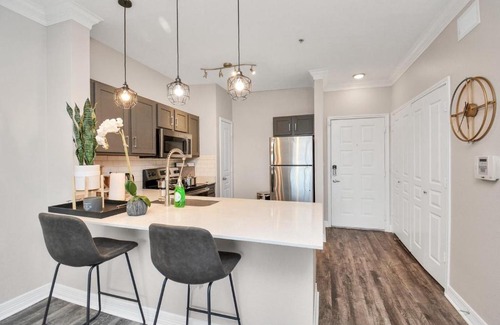 South Central Houston Apartment | Noir Oasis 5 MINS away from Texas Medical Center