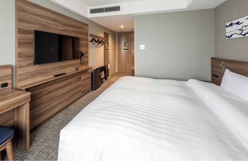 Ariake Hotel | Nonsmoking Superior Queen Room Room only /Koto-ku Tokyo