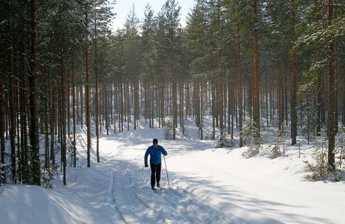 Lotjola Villa | Norppa-Majat