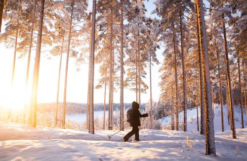 Lotjola Villa | Norppa-Majat