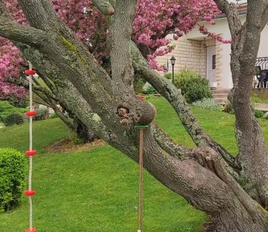 Noyers-sur-Cher House | NOUVEAU - LE BOISSANTÉ - Zoo à 10 mn - Jeux pour enfants