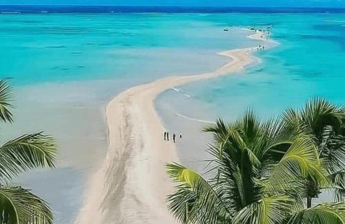 Barra Grande Cabin | Nova Costeira da Barra