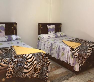 Aswan Apartment | NUB Guest House