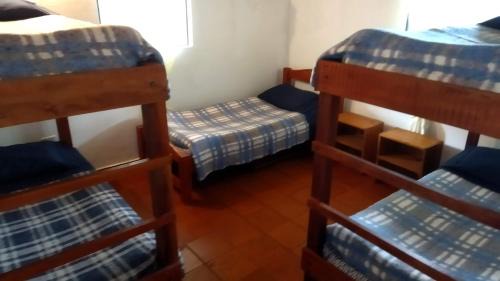 Tena House | Nuestro Bosque I