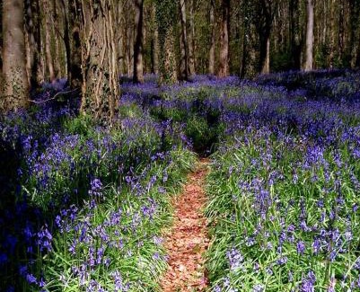 Newry Apartment | Number 6 Narrow Water Castle