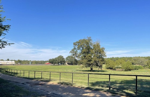 Palestine Apartment | Nuna’s Crossing Studio Flat