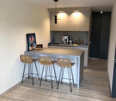Sventoji Apartment | Nuomojamas Butas su visais patogumais ir tik 50 m. Iki jūros