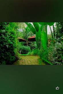 Kigali Bed & Breakfast | Nyumbani City Center Cottages