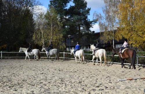 Komancza House | Ośrodek Jeździecki Tarpan latający Holender