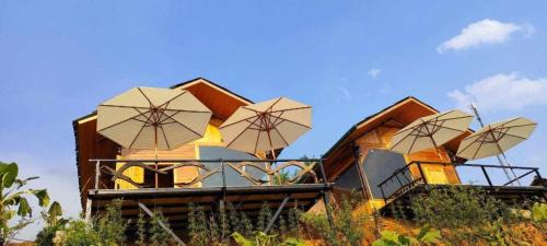 Hau Thao House | O Châu Homestay Lào Cai