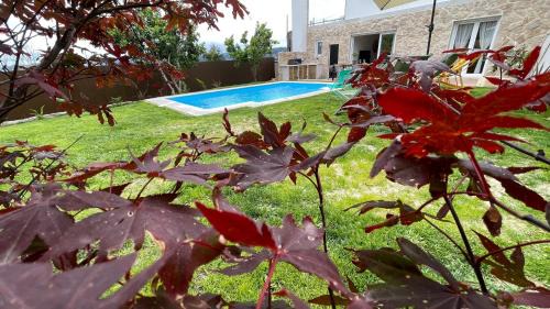 Vigo House | O Lar de Laura