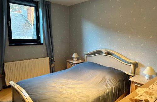 Leffe Apartment | Ô Reflets - Le Reflet Meuse - Appart 1 room view "Meuse" with terrace