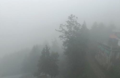 Mussoorie House | Oaks view