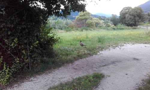 Salo Apartment | Oasi di pace e natura