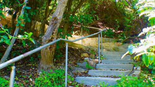 Bermagui House | Ocean View Beachfront