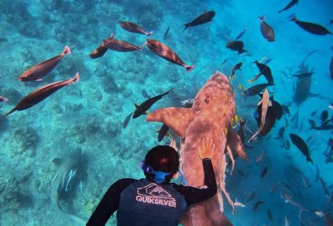 Kudahuvadhoo House | Oceana Inn Maldives - Snorkeling, Sandbank & Surfing Adventures in Kudahuvadhoo Island