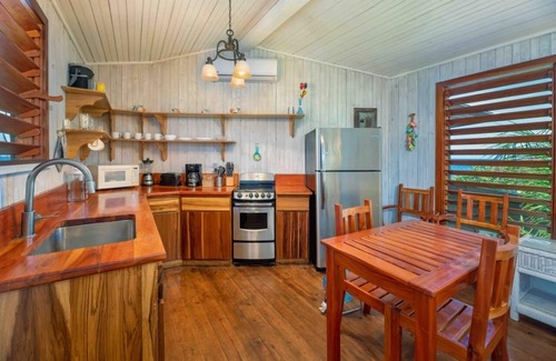 First Bight Apartment | Oceanview Bird's Nest Studio at Paradise Point