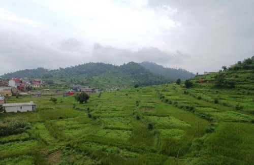 Majkhali House | Odyssey Stays Majkhali, Ranikhet