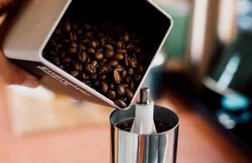 Bowman Farm House | Off-Grid Cabin Nestled in Nature - Pet Friendly - Dawn