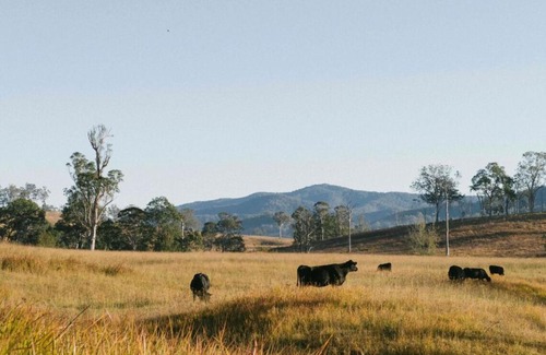 Bowman Farm House | Off-Grid Cabin Nestled in Nature - Pet Friendly - Dawn