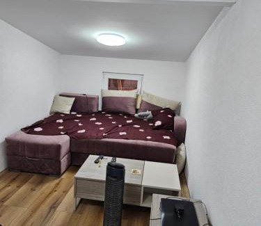 Leskovac Apartment | Oki