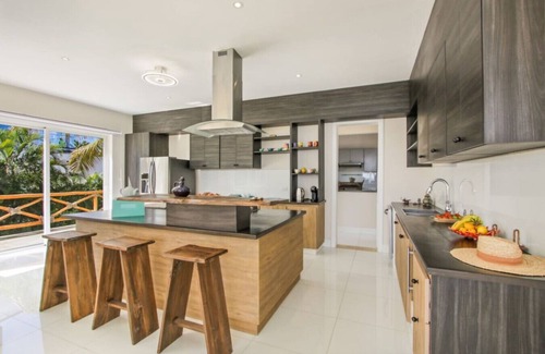Punta Cana House | Okyanus: Spectacular oceanview villa w/pool, Jacuzzi, full staff & golf cart