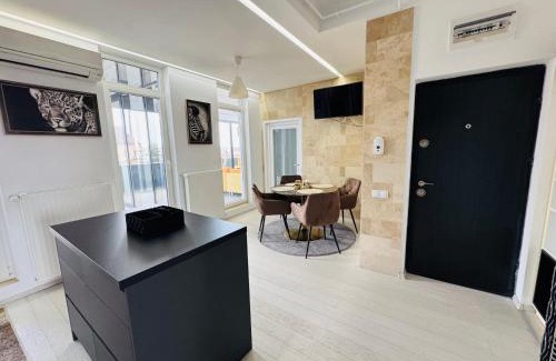 Baia Mare Apartment | Old Town Vista