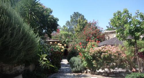 Lemona House | Oleander Stone House