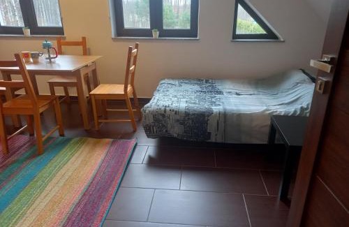 Strekowizna Apartment | Olesiówka