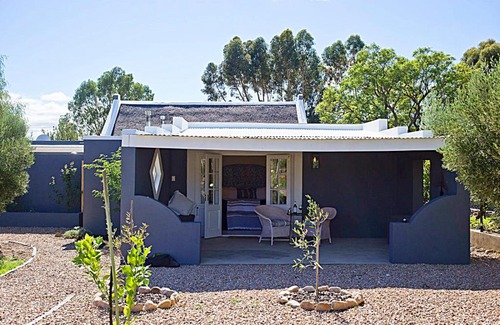 Prince Albert House | Olive Grove Pip