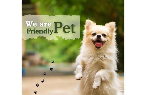 Saket Apartment | Olive Service Apartments Saket