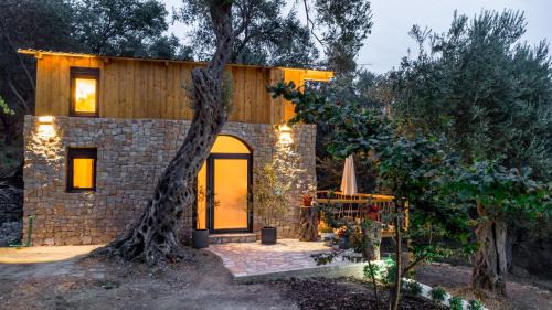 Ulcinj Apartment | Olive Treasure