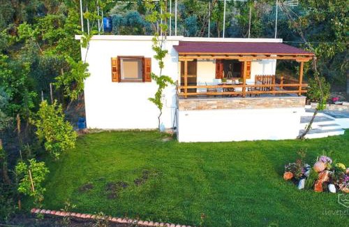 Zagora-Mouresi House | Olivia's Guest House