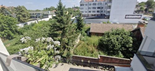 Petrovaradin Apartment | Olja's private apartment