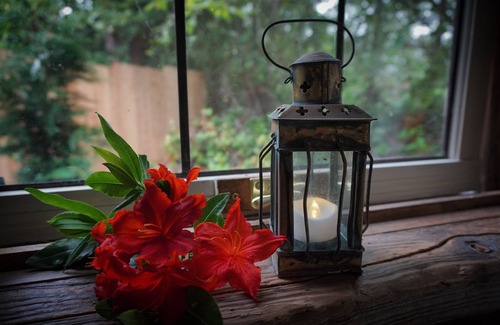 Vashon Island Cottage | On a 40 acre estate, outdoor soaking tub, fire pit, hammocks, pet friendly!